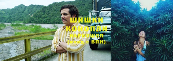 ешки Аркадак