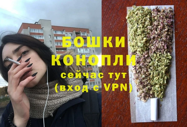 ешки Аркадак